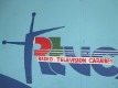 Logo Radio Television Caraibes IMG 4104reduit